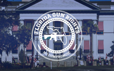 Florida Gun Laws