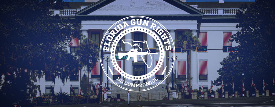 florida gun rights