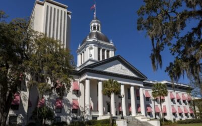 Constitutional Carry Filed in Florida Without Open Carry Fix